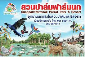 สวนปาล์มฟาร์มนก สีสันแห่งแปดริ้วที่บินได้